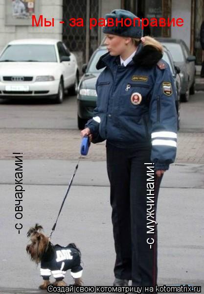 Мы - за равноправие -с мужчинами! -с овчарками!... Котоматрица: Мы - за равноправие -с мужчинами! -с овчарками!