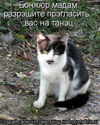 Бонжюр мадам разрэшите прэгласить вас на танэц... Котоматрица: Бонжюр мадам разрэшите прэгласить вас на танэц