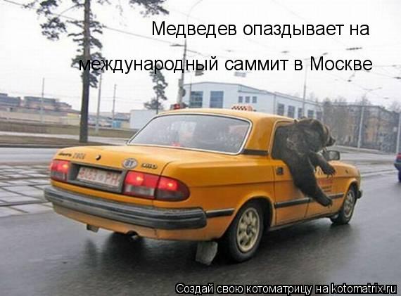 Медведев опаздывает на международный саммит в Москве... Котоматрица: Медведев опаздывает на международный саммит в Москве