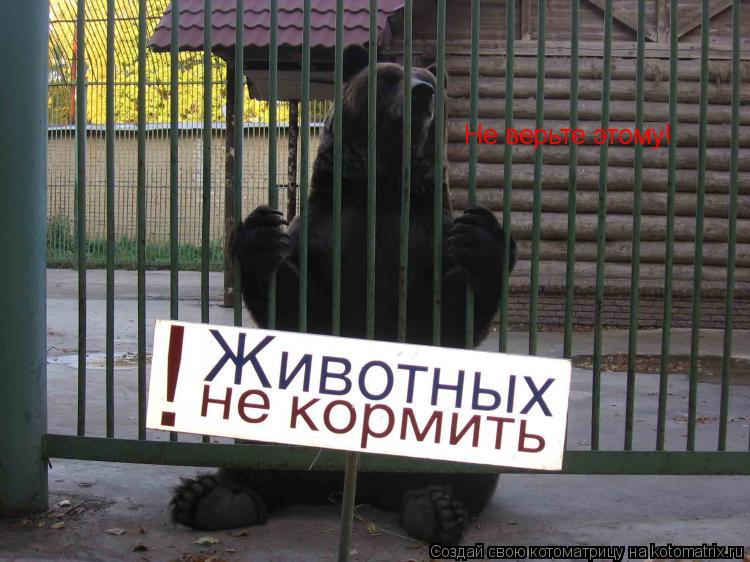 Котоматрица: Не верьте этому!