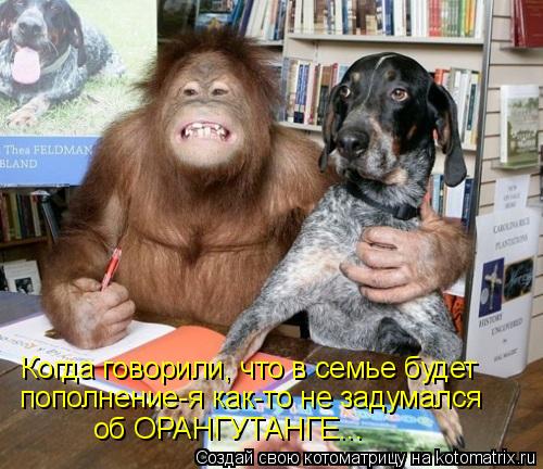 Когда говорили, что в семье будет Когда говорили, что в семье будет пополнение-я как-то не задумалс... Котоматрица: Когда говорили, что в семье будет Когда говорили, что в семье будет пополнение-я как-то не задумался пополнение-я как-то не задумался об ОРА