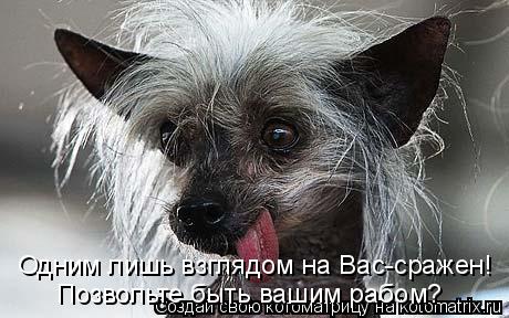 Одним лишь взглядом на Вас-сражен! Позвольте быть вашим рабом?... Котоматрица: Одним лишь взглядом на Вас-сражен! Позвольте быть вашим рабом?