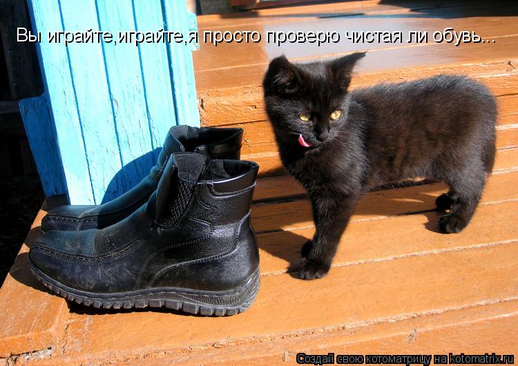 Вы играйте,играйте,я просто проверю чистая ли обувь...... Котоматрица: Вы играйте,играйте,я просто проверю чистая ли обувь...