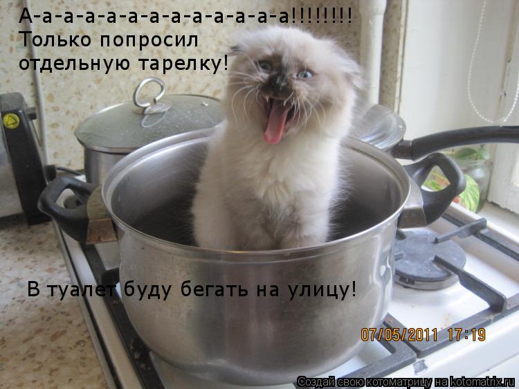 А-а-а-а-а-а-а-а-а-а-а-а-а!!!!!!!! Только попросил отдельную тарелку! В туалет буду бегать на улицу!... Котоматрица: А-а-а-а-а-а-а-а-а-а-а-а-а!!!!!!!! Только попросил отдельную тарелку! В туалет буду бегать на улицу!