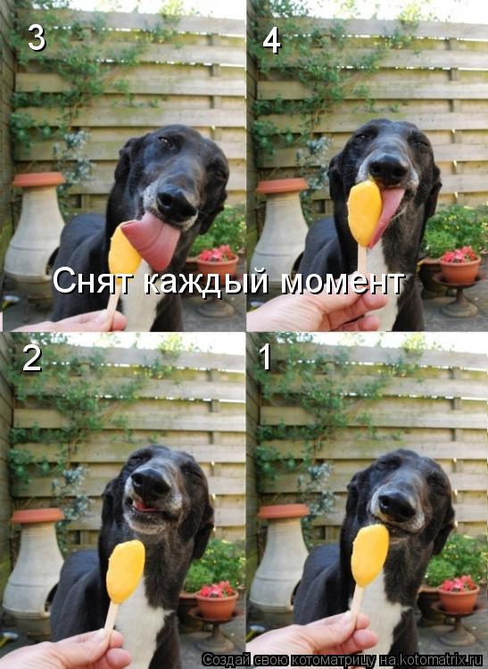 1 2 3 4 Снят каждый момент... Котоматрица: 1 2 3 4 Снят каждый момент