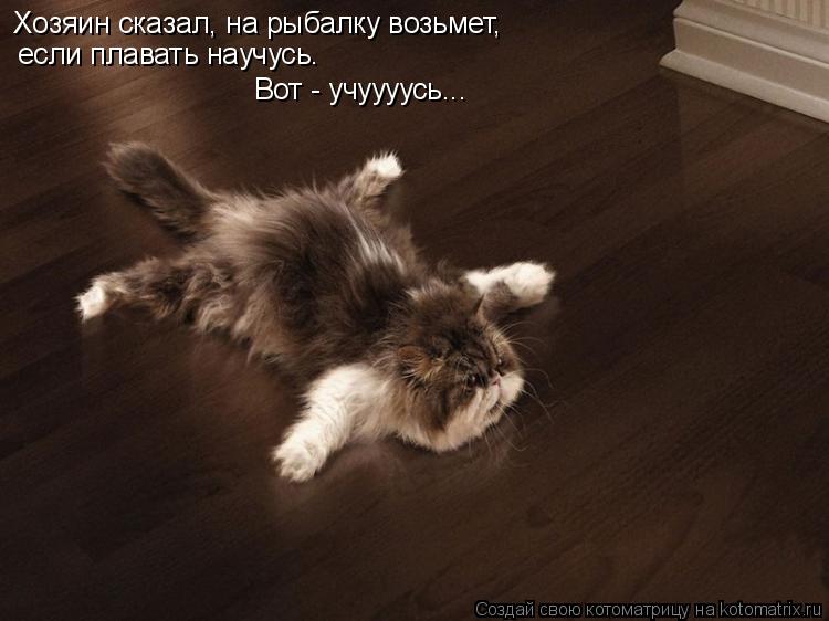 Хозяин сказал, на рыбалку возьмет, если плавать научусь. Вот - учуууусь...... Котоматрица: Хозяин сказал, на рыбалку возьмет, если плавать научусь. Вот - учуууусь...