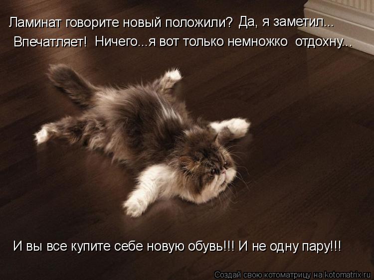 Ламинат говорите новый положили? И вы все купите себе новую обувь!!! И не одну пару!!! Да, я заметил.... Котоматрица: Ламинат говорите новый положили? И вы все купите себе новую обувь!!! И не одну пару!!! Да, я заметил... Впечатляет! Ничего...я вот только немножко