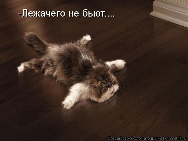 -Лежачего не бьют....... Котоматрица: -Лежачего не бьют....