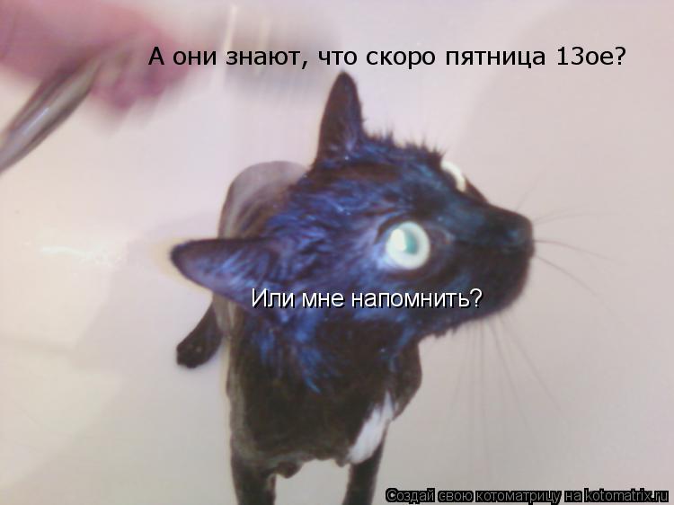 А они знают, что скоро пятница 13ое? Или мне напомнить?... Котоматрица: А они знают, что скоро пятница 13ое? Или мне напомнить?