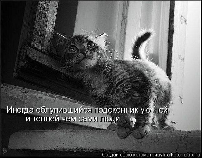 Иногда облупившийся подоконник уютней и теплей,чем сами люди...... Котоматрица: Иногда облупившийся подоконник уютней и теплей,чем сами люди...