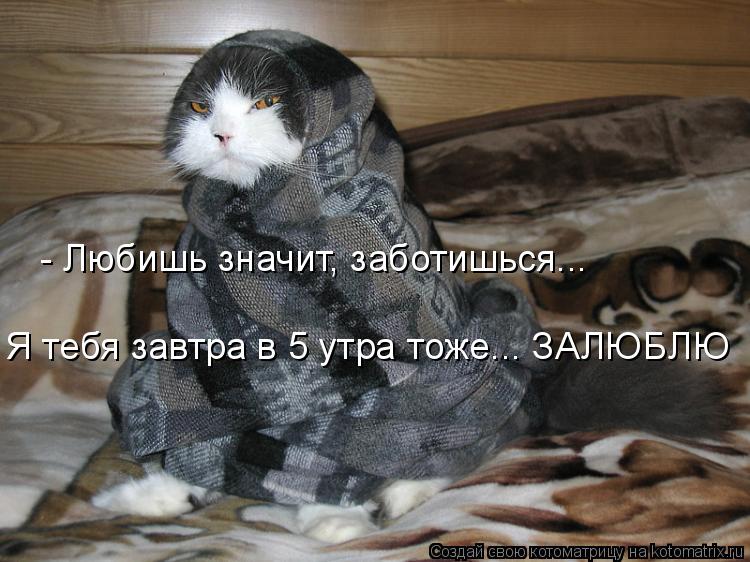 - Любишь значит, заботишься... Я тебя завтра в 5 утра тоже... ЗАЛЮБЛЮ... Котоматрица: - Любишь значит, заботишься... Я тебя завтра в 5 утра тоже... ЗАЛЮБЛЮ