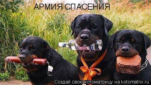 АРМИЯ СПАСЕНИЯ... Котоматрица: АРМИЯ СПАСЕНИЯ