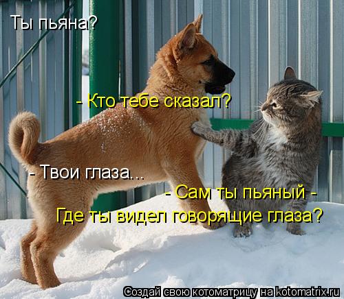 Ты пьяна? - Кто тебе сказал? - Твои глаза... - Сам ты пьяный - Где ты видел говорящие глаза?... Котоматрица: Ты пьяна? - Кто тебе сказал? - Твои глаза... - Сам ты пьяный - Где ты видел говорящие глаза?