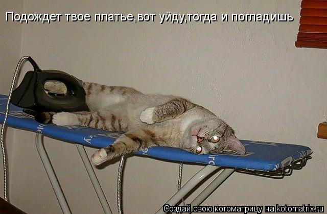 Подождет твое платье,вот уйду,тогда и погладишь... Котоматрица: Подождет твое платье,вот уйду,тогда и погладишь