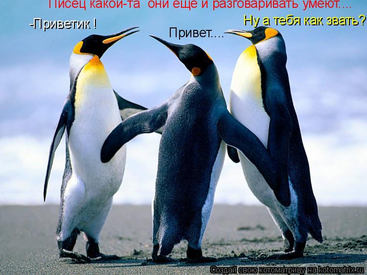 -Приветик ! Привет.... Писец какой-та они еще и разговаривать умеют.... Ну а тебя как звать?... Котоматрица: -Приветик ! Привет.... Писец какой-та они еще и разговаривать умеют.... Ну а тебя как звать?