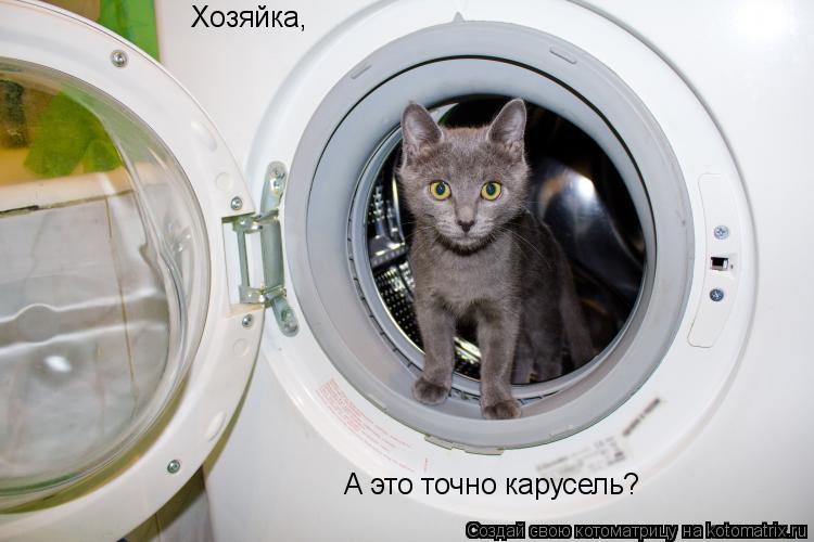 Хозяйка, А это точно карусель?... Котоматрица: Хозяйка, А это точно карусель?