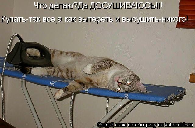 Что делаю?Да ДОСУШИВАЮСЬ!!! Купать-так все,а как вытереть и высушить-никого!... Котоматрица: Что делаю?Да ДОСУШИВАЮСЬ!!! Купать-так все,а как вытереть и высушить-никого!