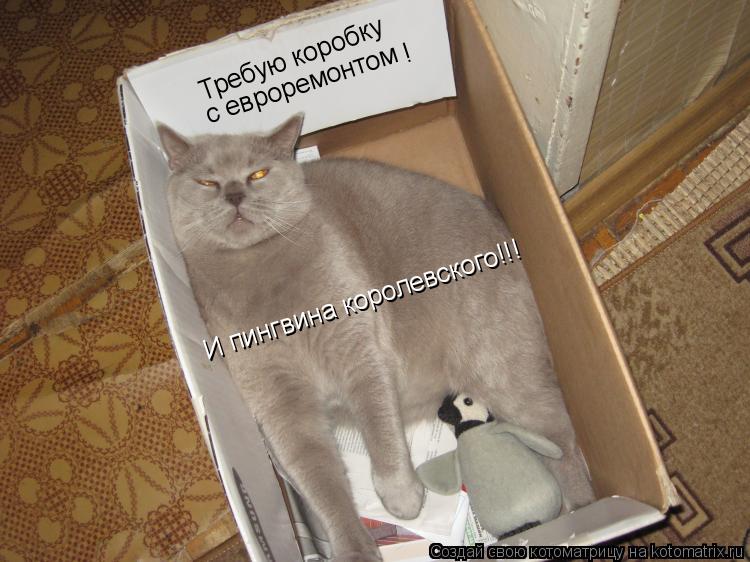 Требую коробку с евроремонтом ! И пингвина королевского!!!... Котоматрица: Требую коробку с евроремонтом ! И пингвина королевского!!!