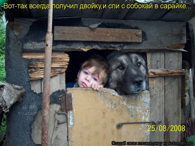 -Вот-так всегда получил двойку,и спи с собокай в сарайке...... Котоматрица: -Вот-так всегда получил двойку,и спи с собокай в сарайке...