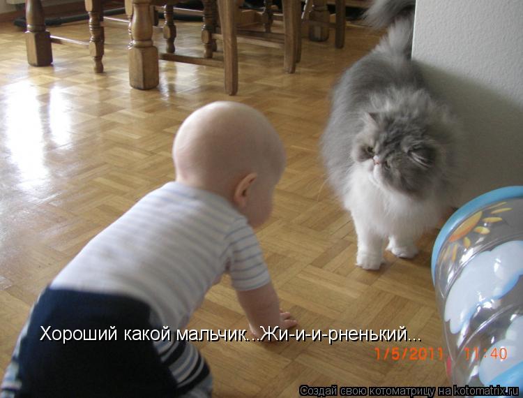 Хороший какой мальчик...Жи-и-и-рненький...... Котоматрица: Хороший какой мальчик...Жи-и-и-рненький...