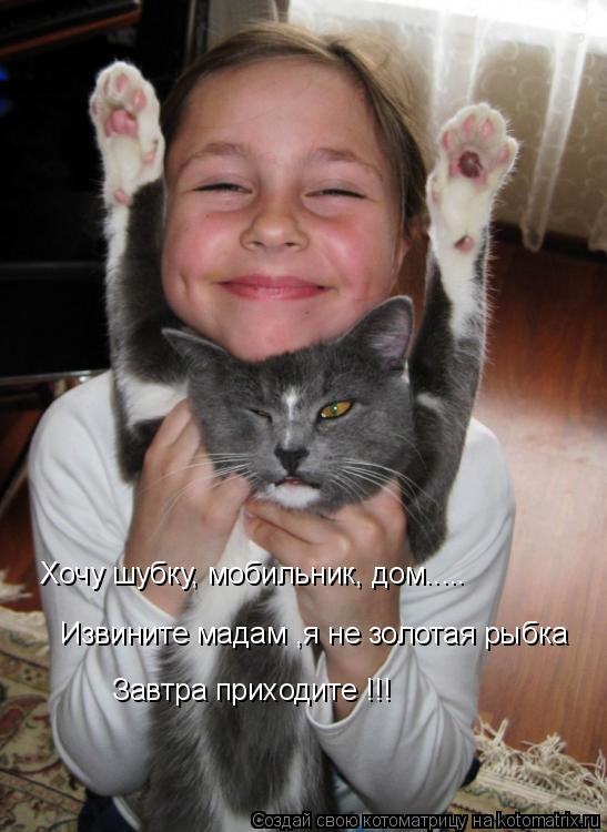 Хочу шубку, мобильник, дом..... Извините мадам ,я не золотая рыбка Завтра приходите !!!... Котоматрица: Хочу шубку, мобильник, дом..... Извините мадам ,я не золотая рыбка Завтра приходите !!!