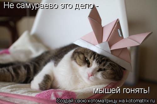 Не самураево это дело - мышей гонять!... Котоматрица: Не самураево это дело - мышей гонять!