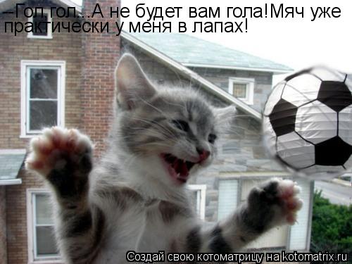 --Гол,гол...А не будет вам гола!Мяч уже практически у меня в лапах!... Котоматрица: --Гол,гол...А не будет вам гола!Мяч уже практически у меня в лапах!