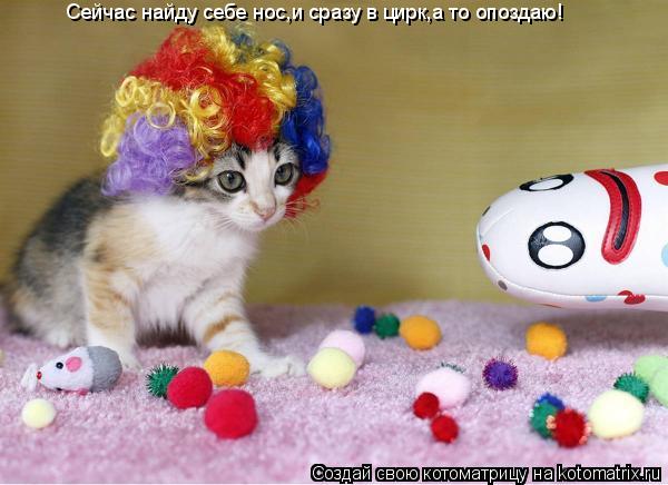 Сейчас найду себе нос,и сразу в цирк,а то опоздаю!... Котоматрица: Сейчас найду себе нос,и сразу в цирк,а то опоздаю!