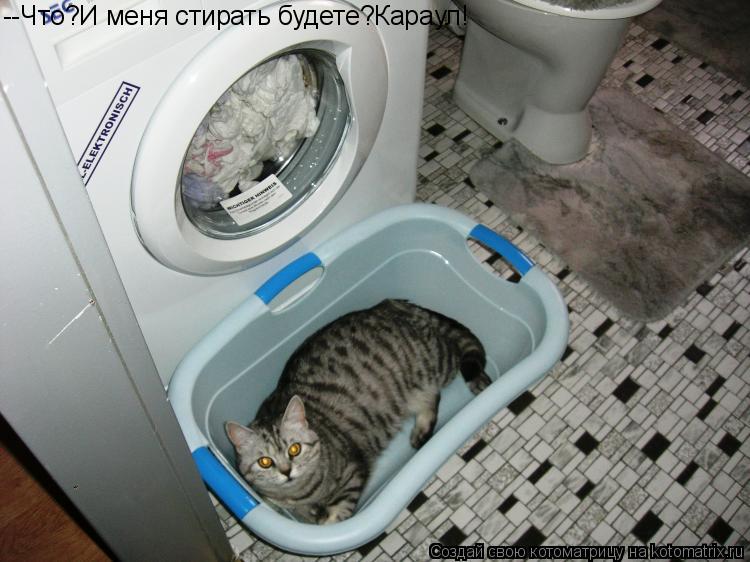 --Что?И меня стирать будете?Караул!... Котоматрица: --Что?И меня стирать будете?Караул!