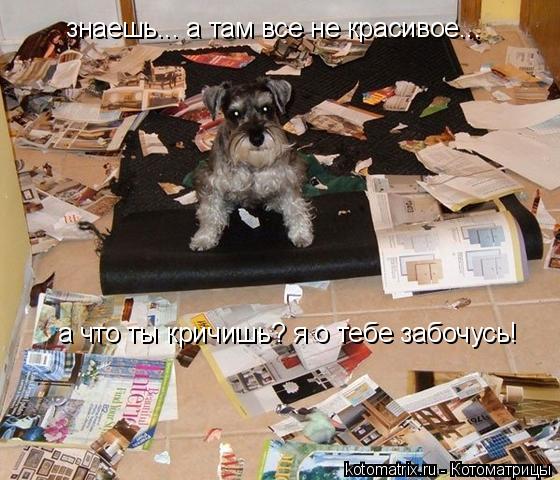 знаешь... а там все не красивое... а что ты кричишь? я о тебе забочусь!... Котоматрица: знаешь... а там все не красивое... а что ты кричишь? я о тебе забочусь!
