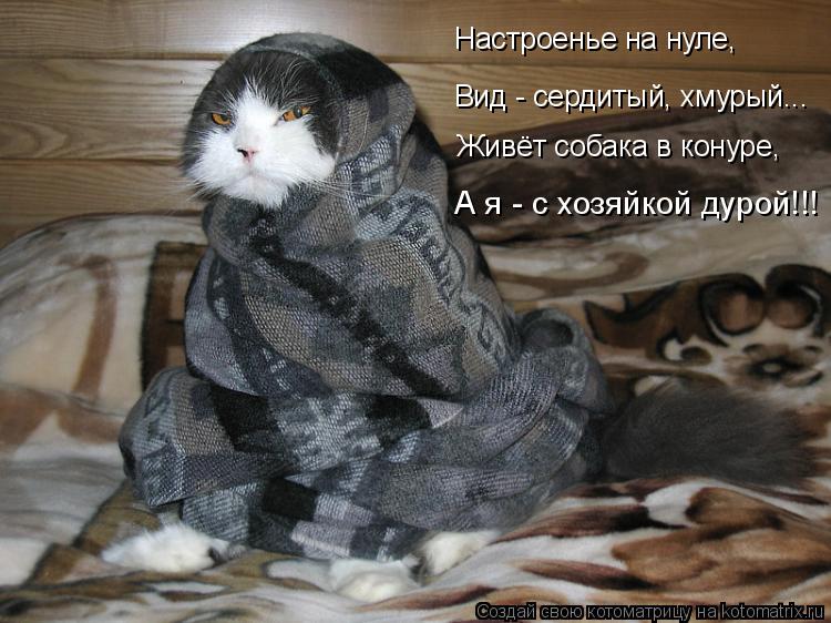 А я - с хозяйкой дурой!!! Живёт собака в конуре, Вид - сердитый, хмурый... Настроенье на нуле,... Котоматрица: А я - с хозяйкой дурой!!! Живёт собака в конуре, Вид - сердитый, хмурый... Настроенье на нуле,