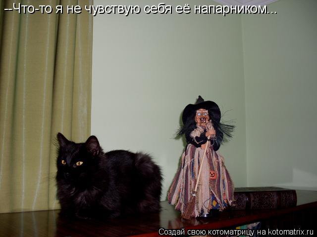 --Что-то я не чувствую себя её напарником...... Котоматрица: --Что-то я не чувствую себя её напарником...
