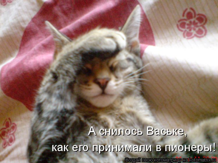 А снилось Ваське, как его принимали в пионеры!... Котоматрица: А снилось Ваське, как его принимали в пионеры!