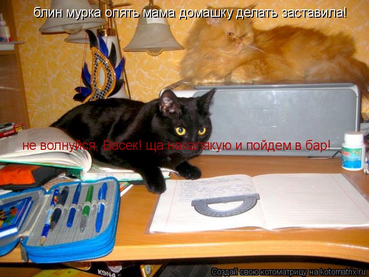 блин мурка опять мама домашку делать заставила! не волнуйся, Васек! ща накалякую и пойдем в бар!... Котоматрица: блин мурка опять мама домашку делать заставила! не волнуйся, Васек! ща накалякую и пойдем в бар!
