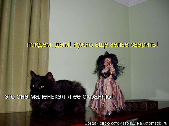 это она маленькая я ее охраняю! пойдем, дым! нужно еще зелье сварить!... Котоматрица: это она маленькая я ее охраняю! пойдем, дым! нужно еще зелье сварить!