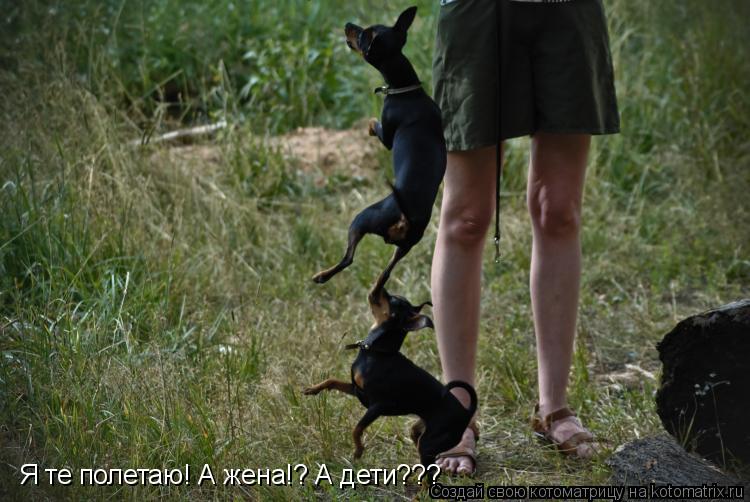 Я те полетаю! А жена!? А дети???... Котоматрица: Я те полетаю! А жена!? А дети???