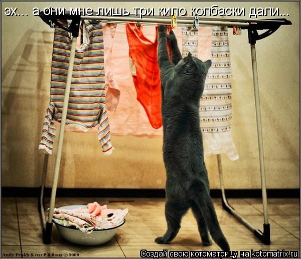 эх... а они мне лишь три кило колбаски дали...... Котоматрица: эх... а они мне лишь три кило колбаски дали...