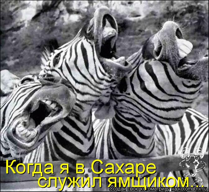 Когда я в Сахаре служил ямщиком...... Котоматрица: Когда я в Сахаре служил ямщиком...