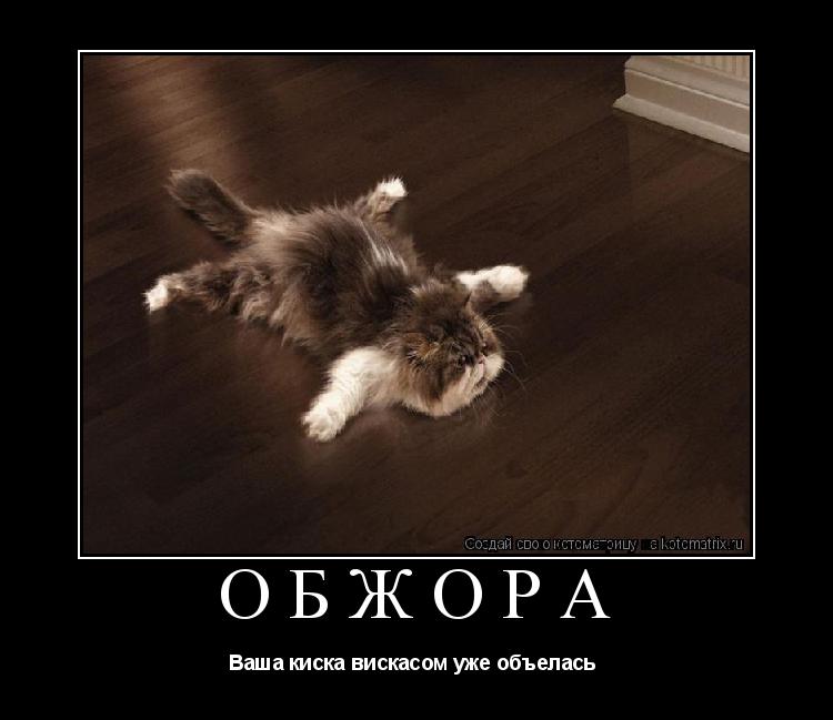 Обжора Ваша киска вискасом уже объелась ... Котоматрица: Обжора Ваша киска вискасом уже объелась
