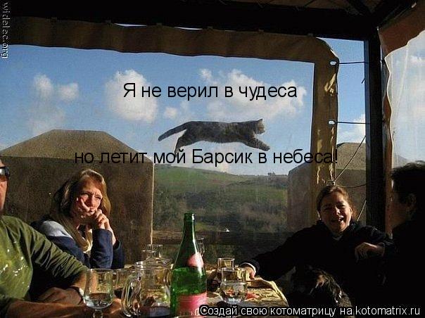 Я не верил в чудеса но летит мой Барсик в небеса!... Котоматрица: Я не верил в чудеса но летит мой Барсик в небеса!
