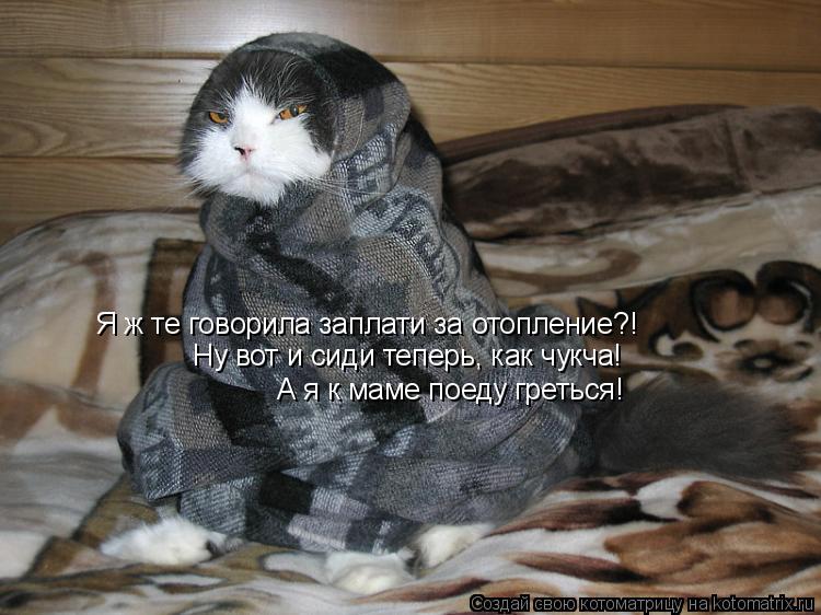 Я ж те говорила заплати за отопление?! Ну вот и сиди теперь, как чукча! А я к маме поеду греться!... Котоматрица: Я ж те говорила заплати за отопление?! Ну вот и сиди теперь, как чукча! А я к маме поеду греться!
