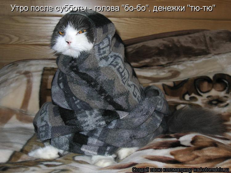 Утро после субботы - голова "бо-бо", денежки "тю-тю"... Котоматрица: Утро после субботы - голова "бо-бо", денежки "тю-тю"