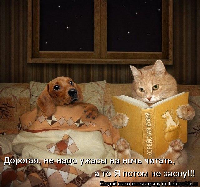 Дорогая, не надо ужасы на ночь читать, а то Я потом не засну!!!... Котоматрица: Дорогая, не надо ужасы на ночь читать, а то Я потом не засну!!!