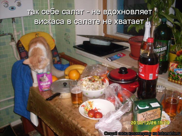 так себе салат - не вдохновляет ! вискаса в салате не хватает !... Котоматрица: так себе салат - не вдохновляет ! вискаса в салате не хватает !