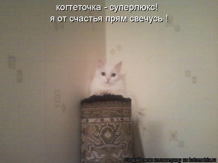 когтеточка - суперлюкс! я от счастья прям свечусь !... Котоматрица: когтеточка - суперлюкс! я от счастья прям свечусь !