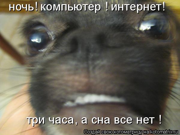 ночь! компьютер ! интернет! три часа, а сна все нет !... Котоматрица: ночь! компьютер ! интернет! три часа, а сна все нет !