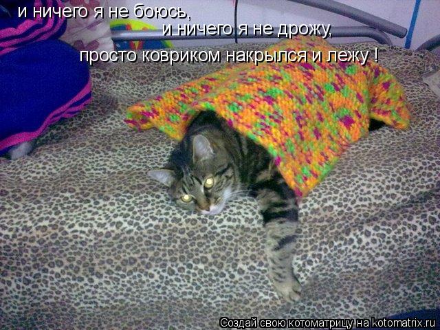и ничего я не боюсь, и ничего я не дрожу, просто ковриком накрылся и лежу !... Котоматрица: и ничего я не боюсь, и ничего я не дрожу, просто ковриком накрылся и лежу !