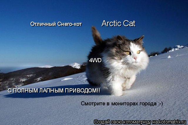 Arctic Cat 4WD Отличный Снего-кот С ПОЛНЫМ ЛАПНЫМ ПРИВОДОМ!! Смотрите в мониторах города :-)... Котоматрица: Arctic Cat 4WD Отличный Снего-кот С ПОЛНЫМ ЛАПНЫМ ПРИВОДОМ!! Смотрите в мониторах города :-)