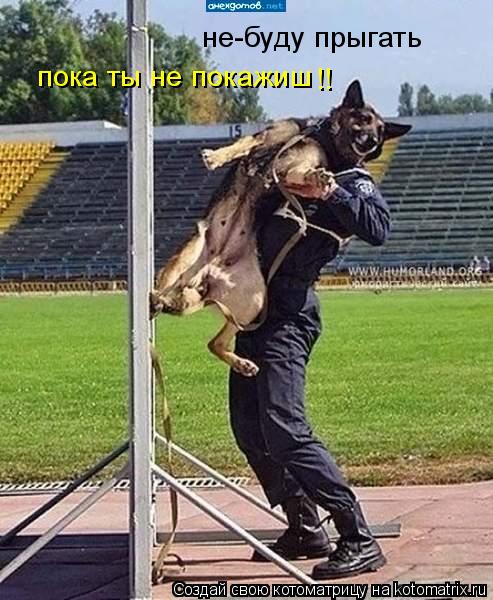 не-буду прыгать пока ты не покажиш !!... Котоматрица: не-буду прыгать пока ты не покажиш !!