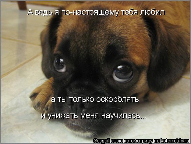 А ведь я по-настоящему тебя любил А ведь я по-настоящему тебя любил а ты только оскорблять и унижать... Котоматрица: А ведь я по-настоящему тебя любил А ведь я по-настоящему тебя любил а ты только оскорблять и унижать меня научилась...